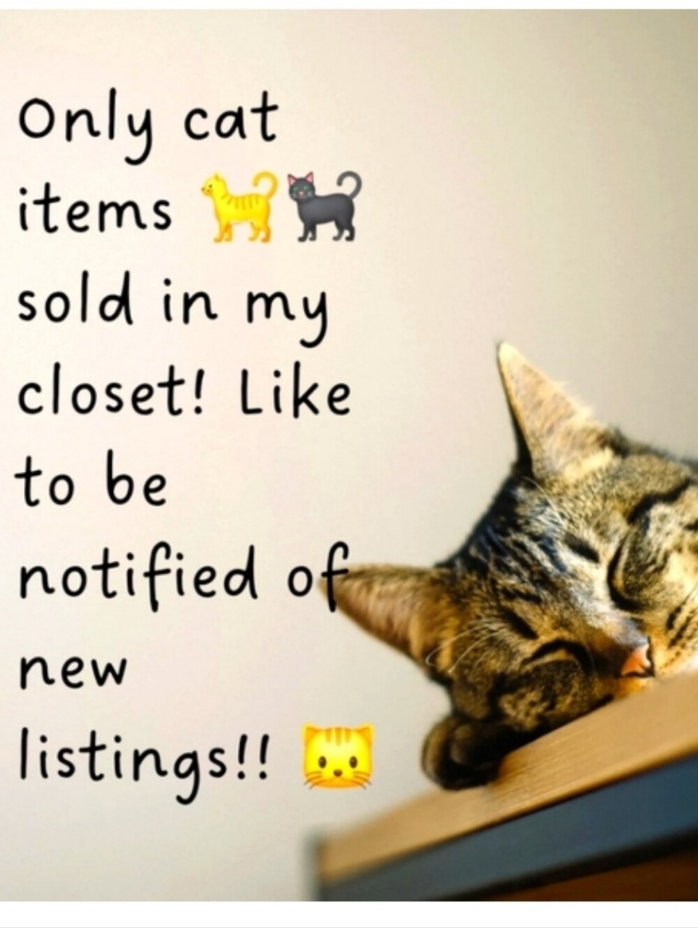 Like this post to be notified of new listed cat items!! 🐈😸🐈‍⬛️😻